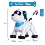 Programmable Remote Control Robot Dog Toy for Kids