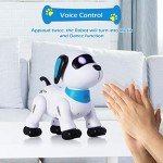 Programmable Remote Control Robot Dog Toy for Kids