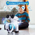 Programmable Remote Control Robot Dog Toy for Kids