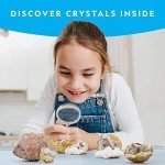 Break Open 10 Premium Geodes STEM Science Kit