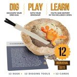 Dino Egg Dig Kit for Kids – 12 Surprises