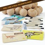 Dino Egg Dig Kit for Kids – 12 Surprises