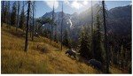 Way of the Hunter (Xbox Series X) Explore and hunt in large open range environments in the USA and Europe