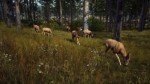 Way of the Hunter (Xbox Series X) Explore and hunt in large open range environments in the USA and Europe