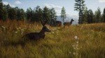 Way of the Hunter (Xbox Series X) Explore and hunt in large open range environments in the USA and Europe