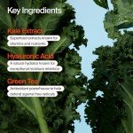 Eco-Friendly Gel Moisturizer with Green Tea & Hyaluronic Acid