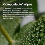 Honest Beauty Vegan Makeup Remover Wipes, 30 Count