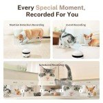 Enabot EBO ROLA Mini 2K Camera Robot: Movable Pet Camera Battery-Powered with Phone App, Indoor Cam w/One-Touch Call, 2-Way Talk, Night Vision, Motion Detection, Video Recording