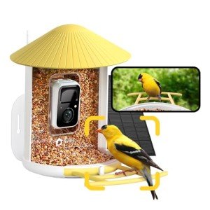 NETVUE Birdfy AI Smart Bird Feeder with Camera Solar Powered, AI Auto Capture Each Bird Come & Identify 6000+ Bird Species, Cloud Storage & Birdwatching On Live, Ideal Present(Yellow)