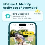 NETVUE Birdfy AI Smart Bird Feeder with Camera Solar Powered, AI Auto Capture Each Bird Come & Identify 6000+ Bird Species, Cloud Storage & Birdwatching On Live, Ideal Present(Yellow)