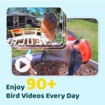 NETVUE Birdfy AI Smart Bird Feeder with Camera Solar Powered, AI Auto Capture Each Bird Come & Identify 6000+ Bird Species, Cloud Storage & Birdwatching On Live, Ideal Present(Yellow)