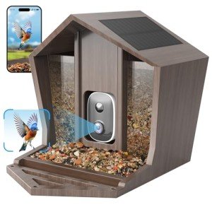 Birdster Smart Bird Feeder with Camera Solar Powered, 2.5K HD Free AI Identifies 12000+ Birds, Auto Motion Detection, Waterproof Wooden Video Bird Feeder Camera Live, Good Gift (4G)