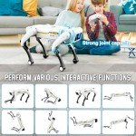 Petma Robot Dog, AI Smart Pet, Will Dance and Kungfu, with Voice/APP/Remote Control, Support Action Programming, Ideal Gift for Kids 8-12