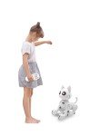 Lexibook - Power Kitty® - Remote Control Robot Cat, Programmable Smart Robot, Light, Sound, White/Pink - KITTY01