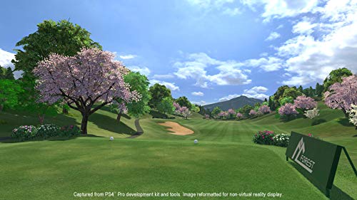 Everybody's Golf VR for PlayStation 4