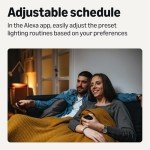 Amazon Basics Smart Indoor LED Light Bulb, Sunset-to-Midnight Activated, Works with Alexa Only, Tunable White, 7.5 W, 1-Pack