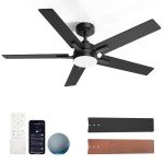 Geinself 52 Inch Ceiling Fan with Light, Black Smart Ceiling Fan with 5 Two-Sided Blades, LED Fan with Remote & Alexa, High CFM Ultra Quiet Large Fan for Bedroom, Living Room
