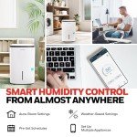 Honeywell 4000 Sq. Ft. Energy Star Smart Dehumidifier for Home Basements & Large Rooms, with WiFi, Alexa Voice Control and Anti-Spill Design - 50 Pint (Previously 70 Pint)