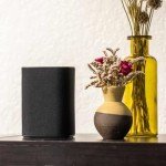 Platin Milan 5.1 Surround Sound Speaker System - Wireless Home Theater System for Smart TVs - WiSA Certified - with WiSA SoundSend Transmitter Included - No Receiver or Speaker Wires Needed