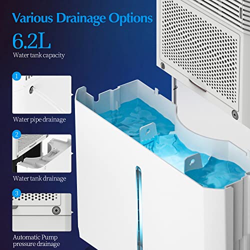 Commercial Dehumidifier with Smart Humidity Control