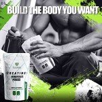 Micronized Pure Creatine Monohydrate Powder, 500g