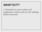 Revitalizing L-Glutamine for Cats - 30 Servings