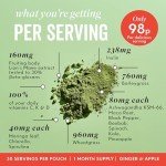 Active Super Greens Powder - Vegan Energy & Immunity