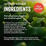 Active Super Greens Powder - Vegan Energy & Immunity