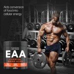 Bandini® EAA Essential Amino Acids - 480 Tablets