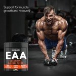 Bandini® EAA Essential Amino Acids - 480 Tablets