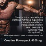 High Strength Creatine Monohydrate Capsules, 240 Count