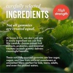 Grass & Co. Super Greens Gummies for Gut Health