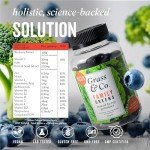 Grass & Co. Super Greens Gummies for Gut Health
