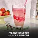 Vegan Protein Powder Shake - Strawberry Flavor, 2.5kg