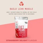 Vegan Protein Powder - Strawberry Cream - 500g