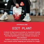 Vegan Protein Powder - Strawberry Cream - 500g