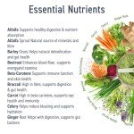 Applied Nutrition Critical Greens Superfood Powder 250g