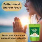 Evanmore Lion's Mane Mushroom Powder for Focus