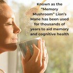 Evanmore Lion's Mane Mushroom Powder for Focus
