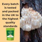 Evanmore Lion's Mane Mushroom Powder for Focus