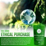 Organic Super Greens Powder - 6 Greens Blend