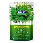 Bioglan Superfoods SuperGreens with Vitamins and Minerals