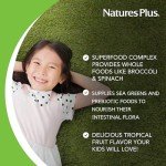 Animal Parade KidGreenz - Vegan Green Superfood Chews
