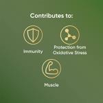 Naturya Organic Green Superfood Powder Blend 250g