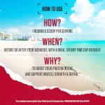 BSN Syntha 6 Edge Low Carb Protein Powder