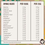 EarthChamp Vegan Chocolate Protein Powder, 1kg