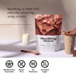 MaxiNutrition MaxWhey Chocolate Whey Protein 420g