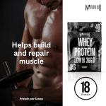 Warrior Whey Protein Powder – 36g Protein Shake