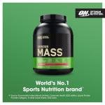 Optimum Nutrition Serious Mass Strawberry Protein Gainer