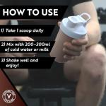 Vangard Chocolate Whey Protein Powder 500g